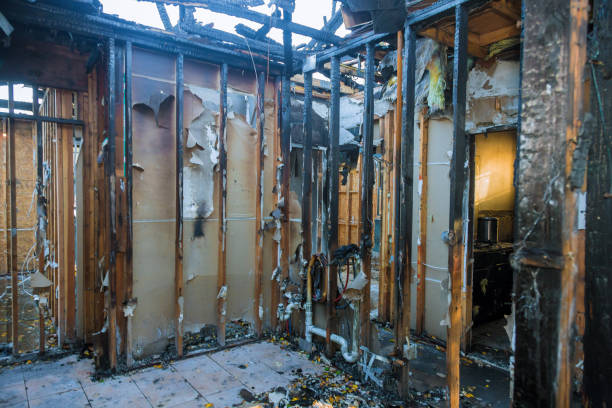 Professional Odor Removal technician working in West Canton, NC